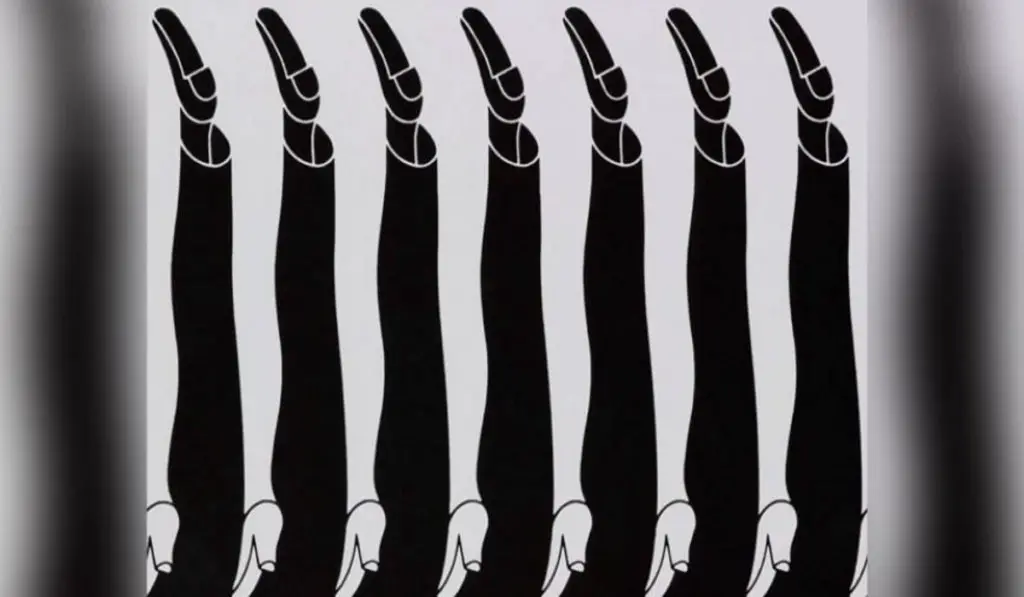 Do You See Male or Female Legs Find Out How You Relate to the World Around You