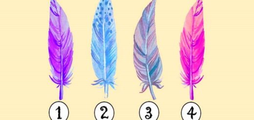 Feathers Have the Power to Show a Person's Hidden Personality. Choose Your Favorite