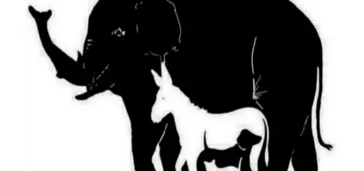 How Many Animals Do You See in the Photo A Test That Only Those With Impressive IQ Can Solve