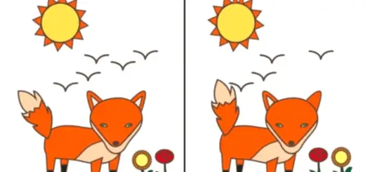 Personality Test Which Error Do You Find First