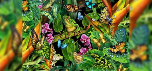 The Group of Animals You've Seen Reveals How You Make a Difference in the World