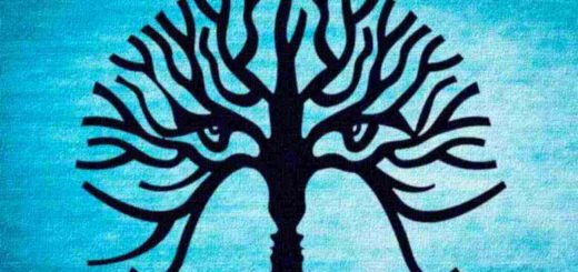 Visual TEST What Catches Your Eye Unveil What Makes Your Personality Special