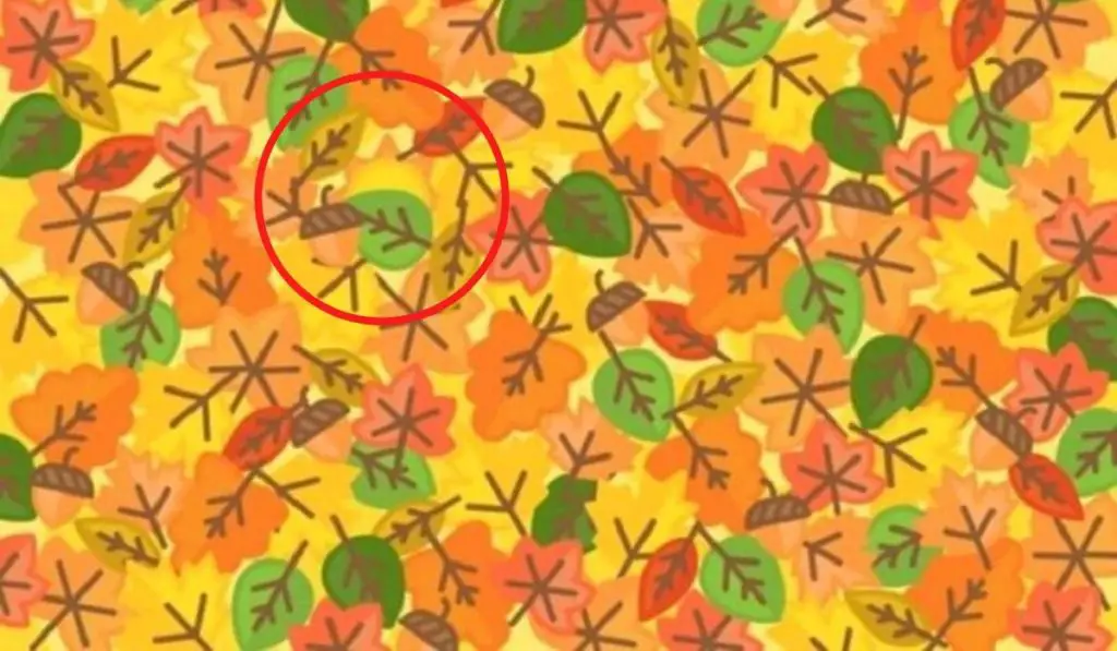 Can You Find the Sun Among These Leaves? 2