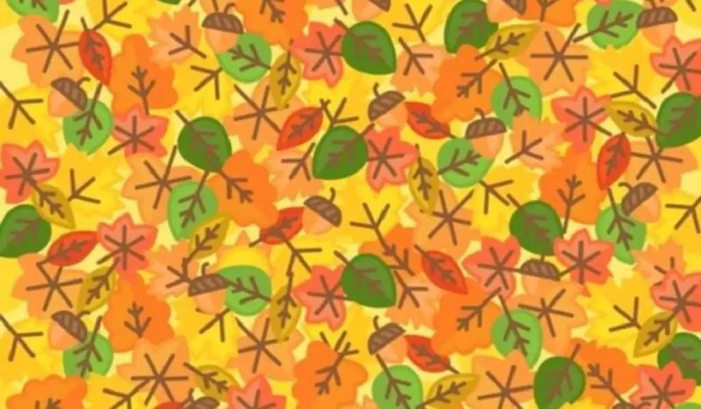 Can You Find the Sun Among These Leaves?