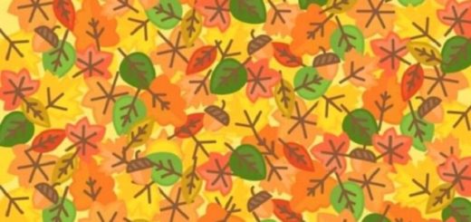 Can You Find the Sun Among These Leaves?