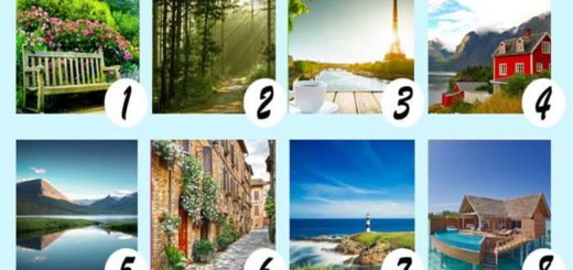 Choose One of the Places Where You Would Like to Go on Vacation and Find Out What You Miss Most