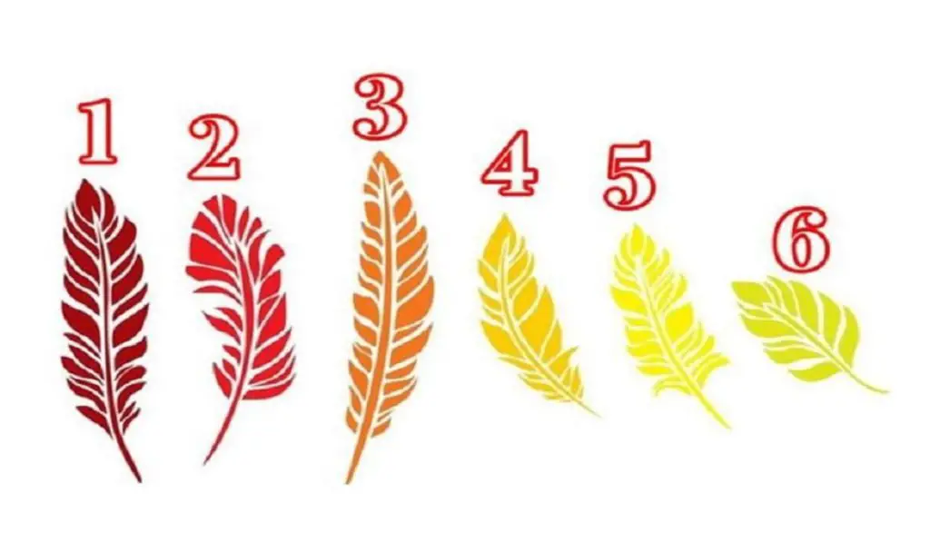 Choose a Feather! Find Out What it Can Tell About Your Current State of Mind