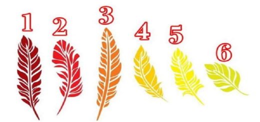 Choose a Feather! Find Out What it Can Tell About Your Current State of Mind
