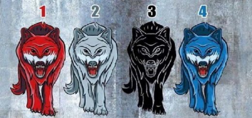 Choose a Wolf and and Find Out when You Need Solitude the Most
