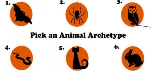 Choose an Animal Archetype – What You Need in Order to Fulfill Your Spiritual Destiny