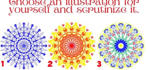 Choose an Illustration and Find out When Joy Will Come in Your Life