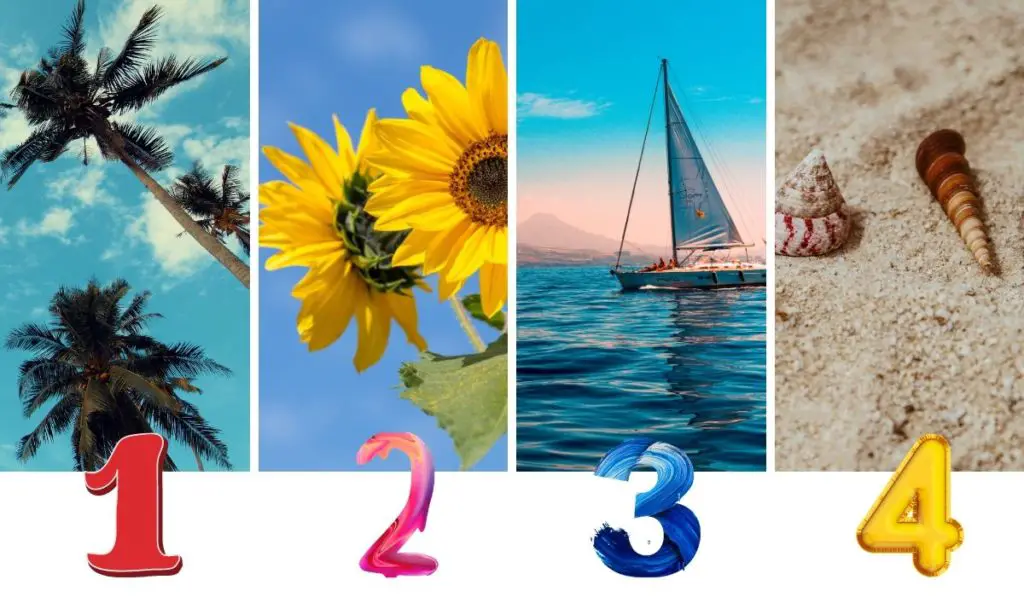 Discover What Awaits You This Summer by Choosing an Image that Attracts You Most