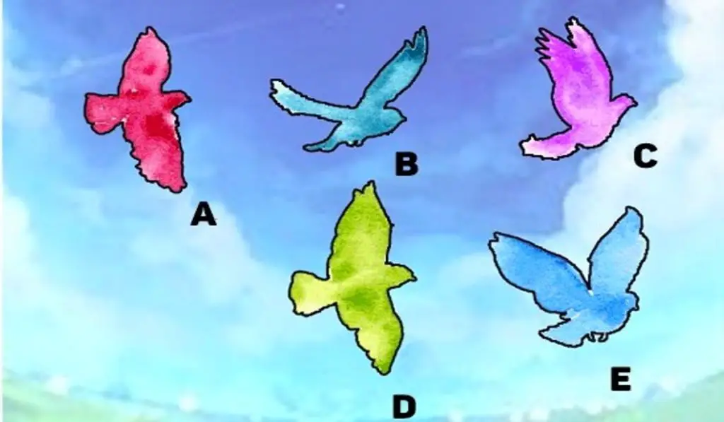 Fun Test - How Lucky You Are Based on the Bird You Choose