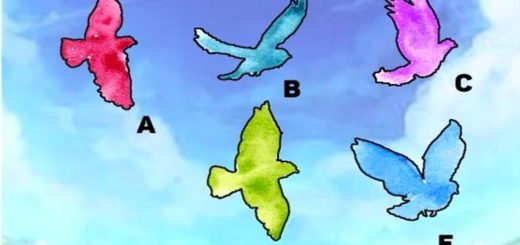 Fun Test - How Lucky You Are Based on the Bird You Choose