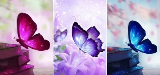 Fun Test Pick A Butterfly To Know More About Your Personality