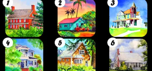 Learn About Important Aspects of Your Character by Choosing Your Favorite House