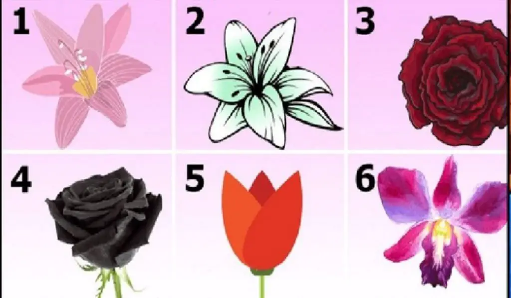Learn the Secrets of your Personality by Choosing The Flower You Like Most
