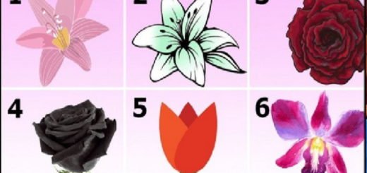 Learn the Secrets of your Personality by Choosing The Flower You Like Most