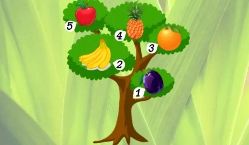 MAKE A WISH Choose a Fruit and Discover if You’ll Achieve It