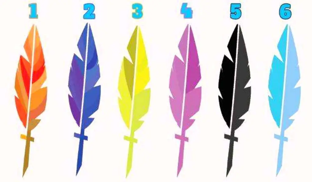 Pick Your Favorite Feather and Learn Something New About Yourself