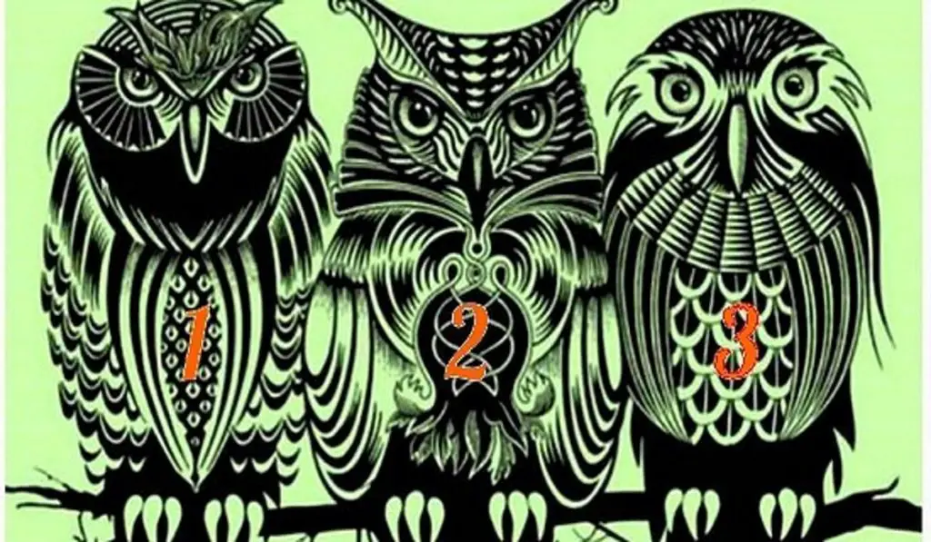 Receive a Special Message for You From Your Favorite Owl