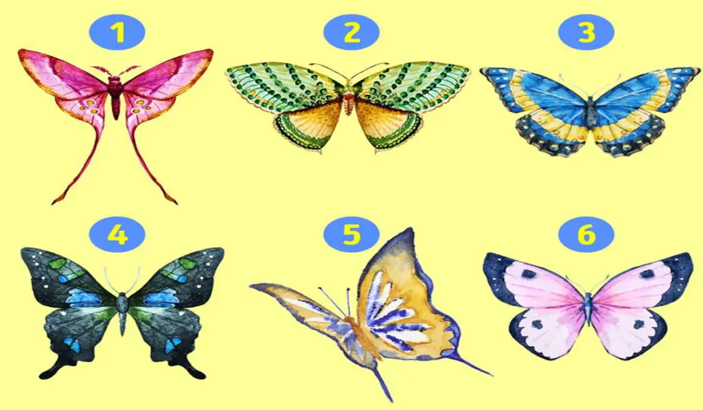 The Butterfly you Choose can Reveal the Hidden Parts of Your Personality