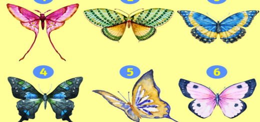 The Butterfly you Choose can Reveal the Hidden Parts of Your Personality