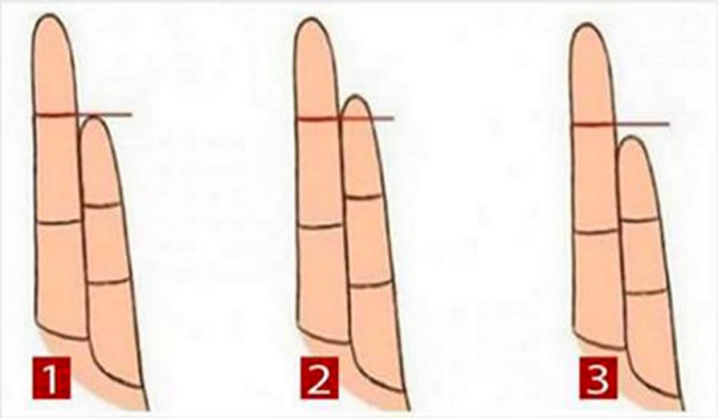 The Length of Your Ring Finger Will Reveal Many Secrets About Your