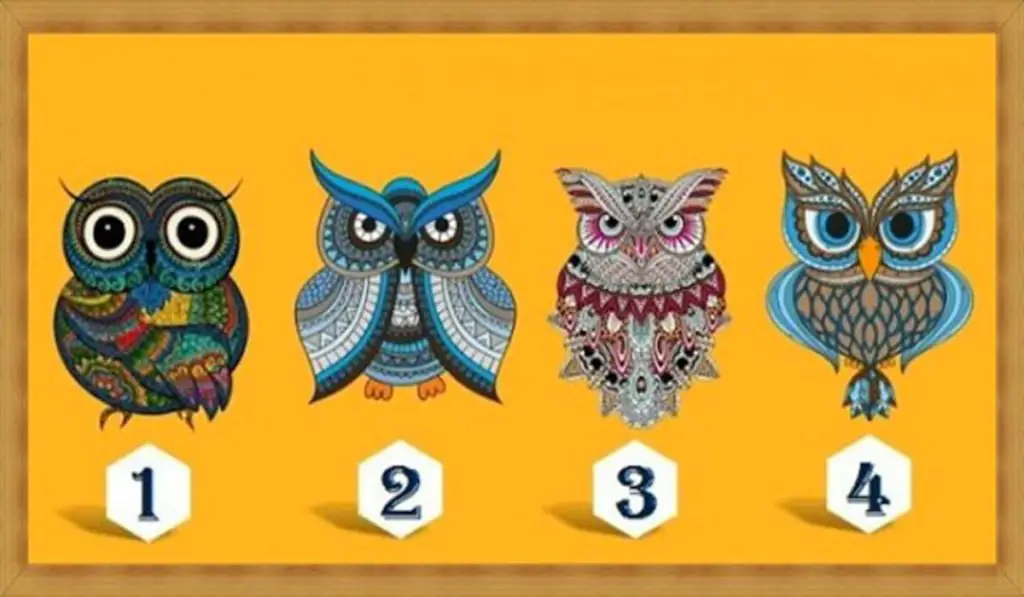 The Owl You Choose Will Tell You Something New About Your Character