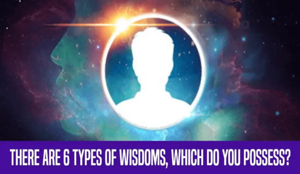 There are 6 Types Of Wisdoms, Which One Do You Possess