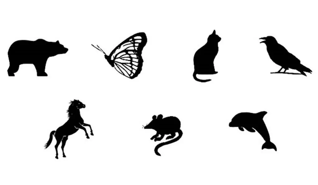 Which Animal Would You Like to Transform Into Find Out What is Hidden in Your Psyche