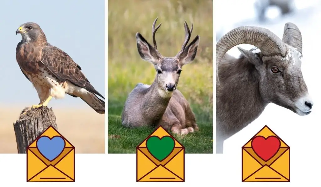 Choose an Image to Discover Your Psychic Message For This Summer