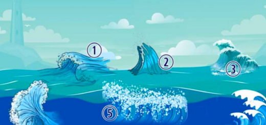 Put your Personality to the Test Through the Ocean Wave Test