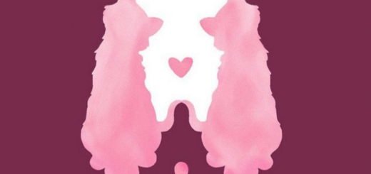 Cats or Dog The Animal You See Will Reveal What You Think is Most Important in Love