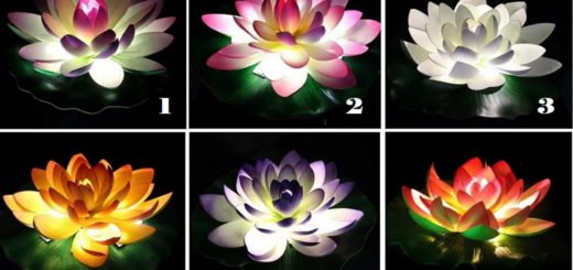 Choose a Lotus Flower and Get Valuable Advice for Your Current Situation in Life