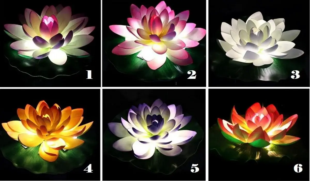 Choose a Lotus Flower and Get Valuable Advice for Your Current
