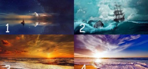 Choose a Photo of the Sea and Learn How to Tackle Your Future Projects