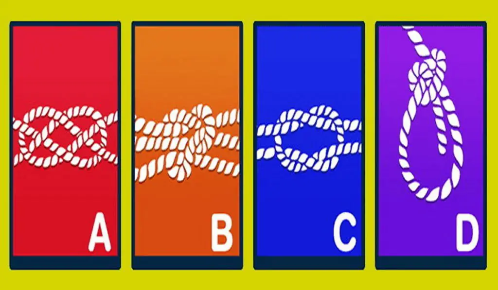 Choose the Knot That You Think is Strongest and Discover About Your Personality