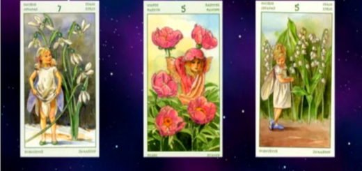 Find Out if Your Precious Wish Will Come True. Choose a Fairy You Like Most
