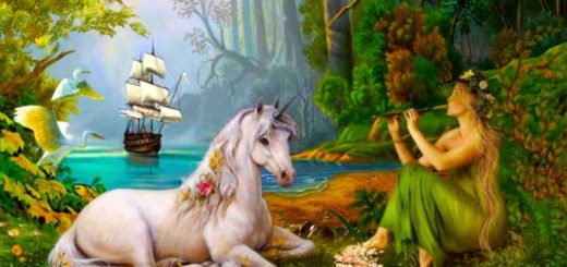 How To Discover Your Spirit Animal