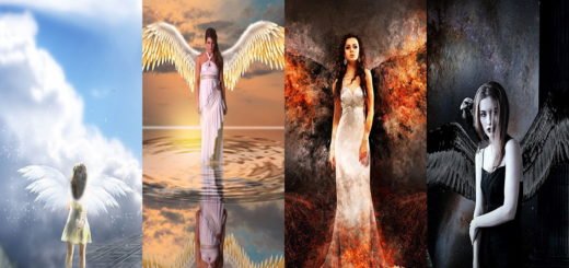 Make Your Choice and Learn What Your Guardian Angel Wants to Tell You