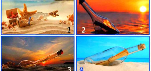 Receive a Special Advice About Your Future Goals by Choosing one of the Bottles
