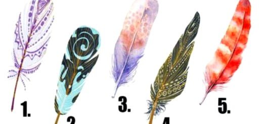 The Feather You Choose Will Reveal the Desire You Hide From Everyone