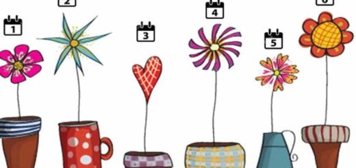 The Flower You Like the Most Reveals How Narcissistic You Are