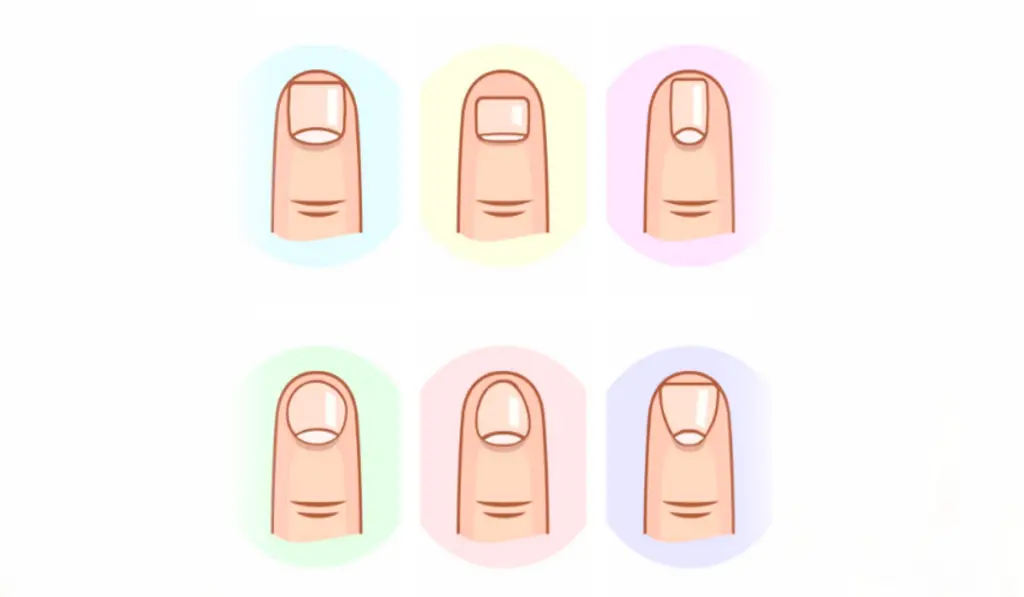 The Shape of Your Nails Contains Information About Your Character