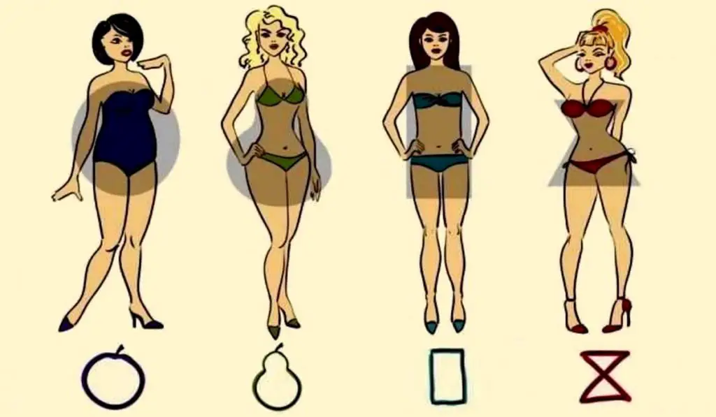 What's Your Body Shape Learn What Does it Reveal About Your True Character