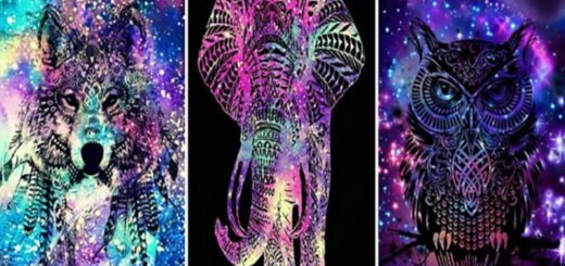 What's Your True Spirit Animal and What Does it Mean