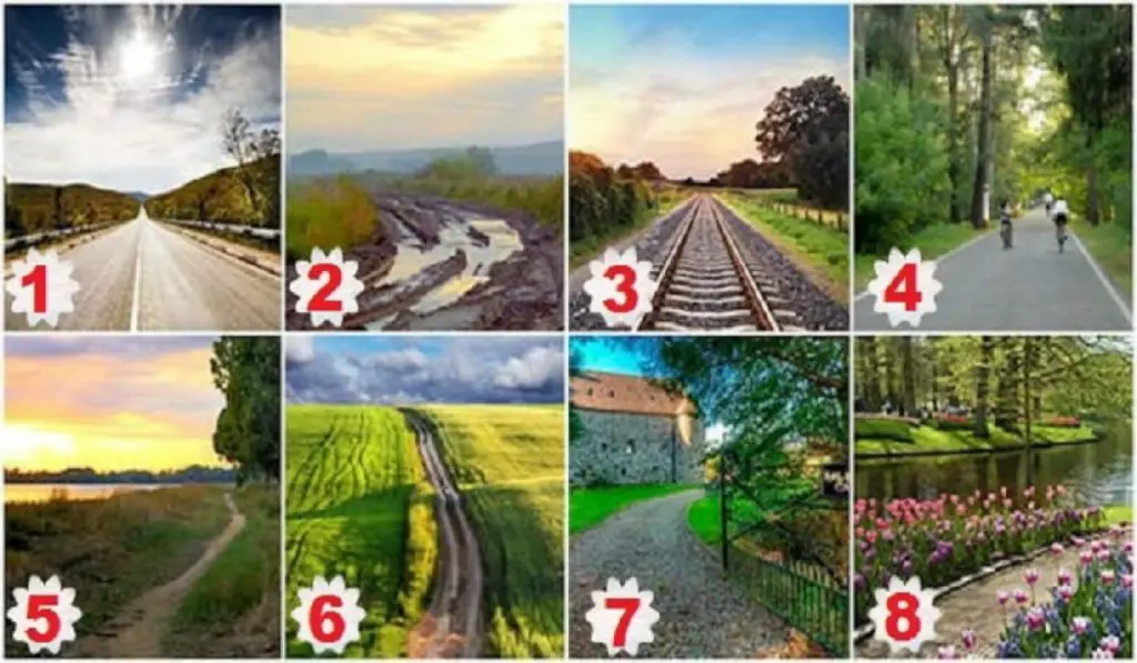 Choose the Path You Would Take and Discover What Awaits You on the Path of Destiny