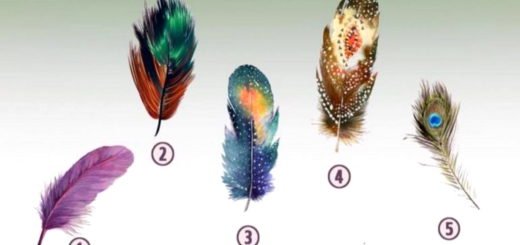Choose The Feather That Attracts You The Most And Discover Your Inner Power