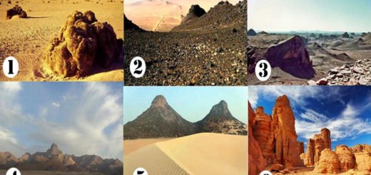 Discover Something New About Your Character by Choosing a Desert Landscape